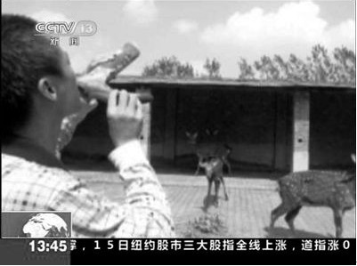 南京長(zhǎng)假游客排隊(duì)喝鹿血系假新聞