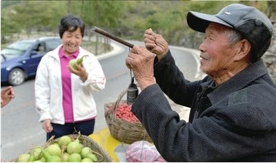 老漢植樹28年600畝荒山成林