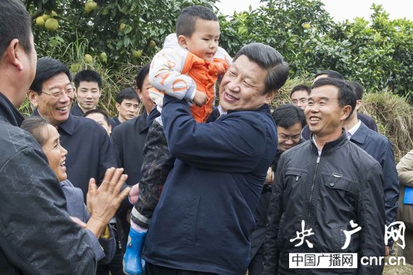 習近平赴湘西調研 摘柚子稱“這是技術活”(圖)