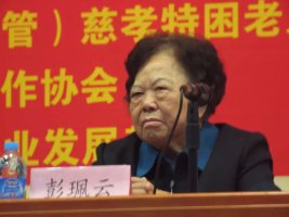 參加民政部代英烈盡孝活動