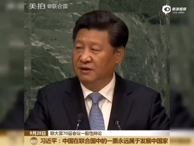 中國將和發展中國家站在一起